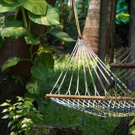Sai Ram Cottage Alībāg Ngoại thất bức ảnh